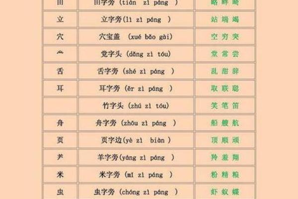 探索“命”的偏旁——为什么选择“丷”而非“人字头”？