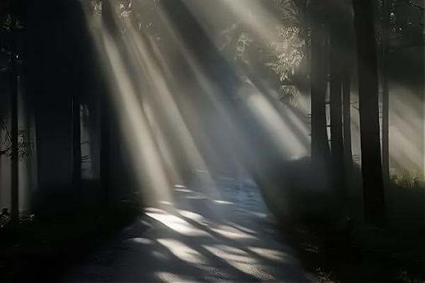 命硬命簿：探讨命运与个人生命的奥秘
