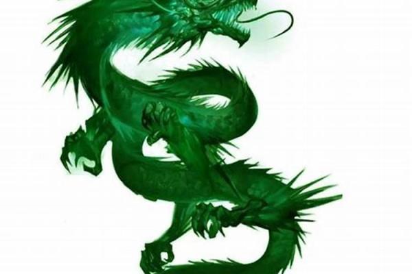 属龙的命理解析：掌握命运，绽放光彩的秘密