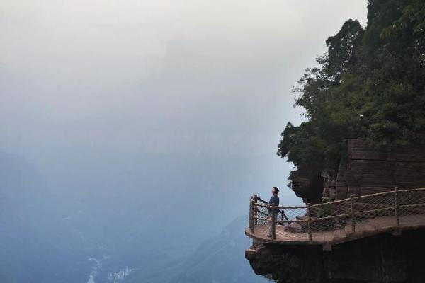 在生命的旅途中，我们如何找到真正的意义？