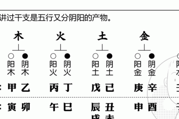 女命有伤官适合找什么样的伴侣？探索命理中的玄机