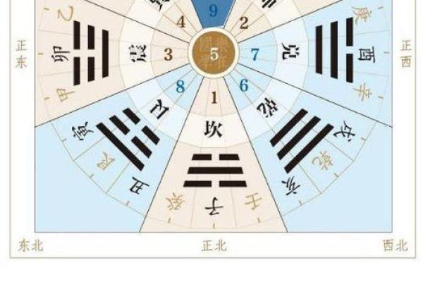 女命占白虎：解读命理中的白虎概念及其影响