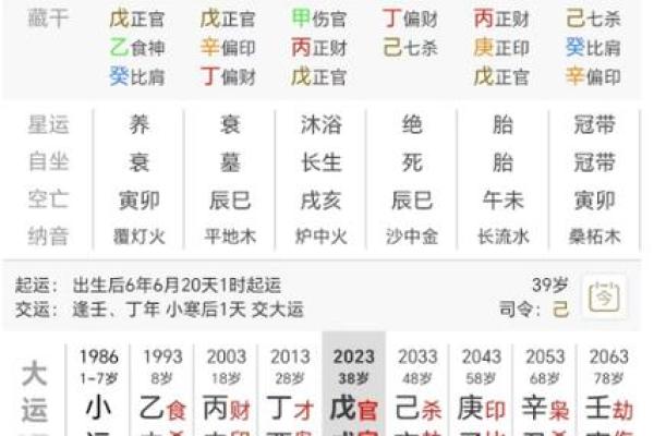 财旺七杀旺，解读命局中的财富与挑战之道