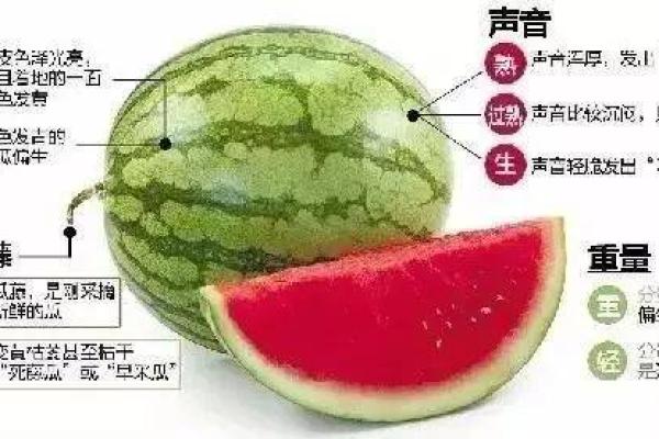 探究命格属水者身体形状的旺运指南：更好地利用你的元素优势！