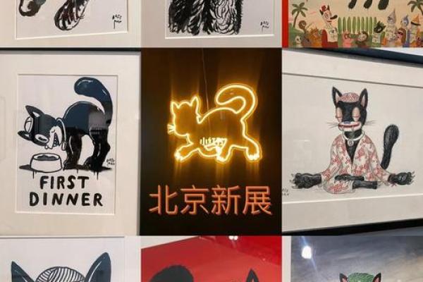 猫的神秘之旅：揭秘“猫有九条命”的传说与现实