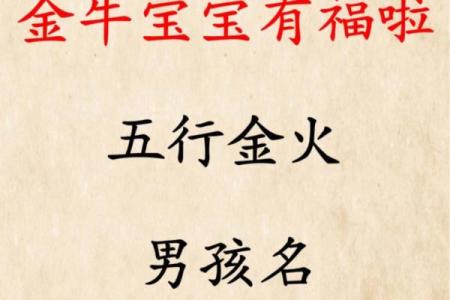 命里缺金,取名技巧与美好寓意探讨