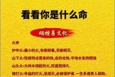 女木命配什么命最合适?深度解析与建议!