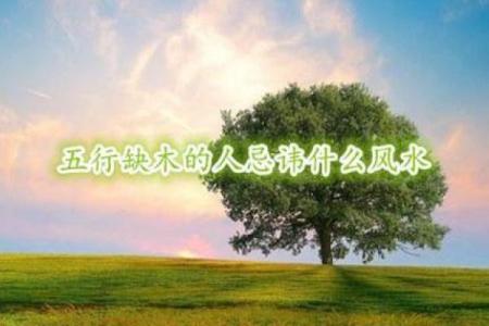 命理缺金者的最佳补救字:如何通过文字增运