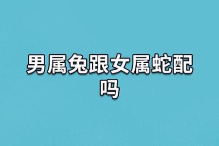 男水命与哪种命相配结婚最佳，探寻完美伴侣之道