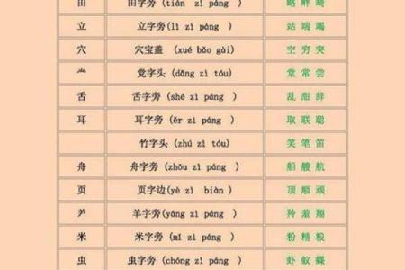 探索“命”的偏旁——为什么选择“丷”而非“人字头”?