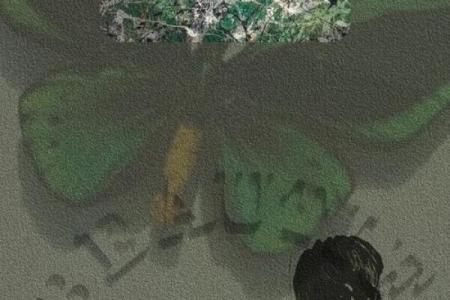 探秘涅槃之命：命格背后的深邃哲理与人生启示