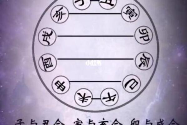 探秘命理：男命天干甲己合的深层含义与影响