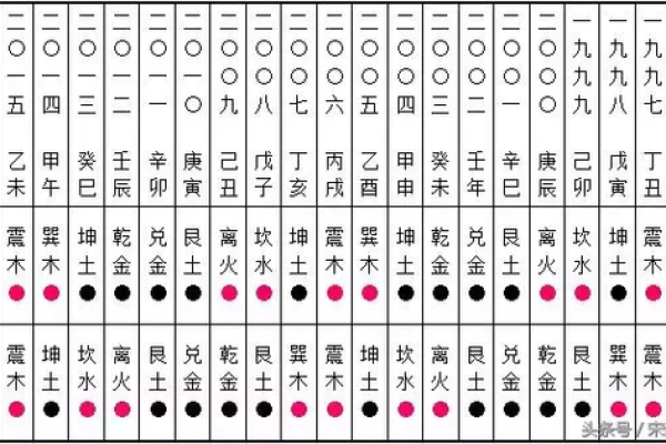 男为坤土命的深刻解读与人生启示