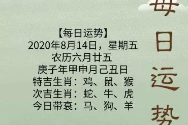 农历六月狗命的神秘与魅力探寻