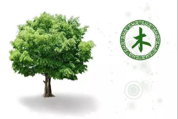 缺水的木命土多家庭如何提升运势与生活品质