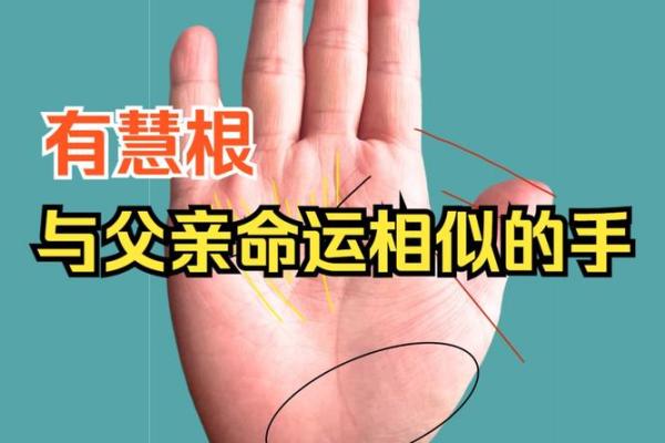 探秘金命手相：揭示你的命运与潜力之道