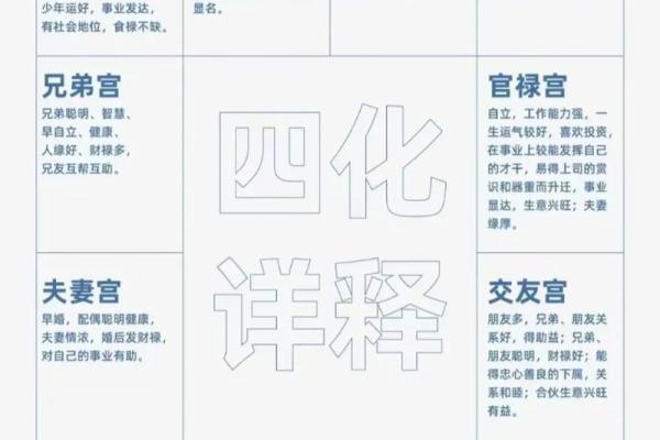 命理解析：紫薇命的秘密与人生启示