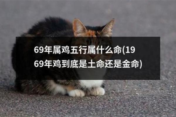 男士金命与其它命相配的最佳选择解析