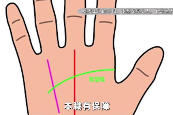 男人右手金命纹的意义与解读：揭示生活中的神秘力量