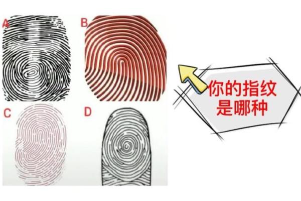 手大指粗的男生，命运究竟如何？真相揭秘！