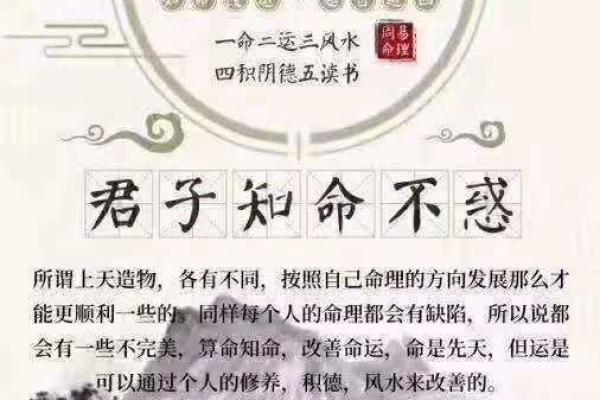 命局财旺生官：解读命理中的财富与权势关系