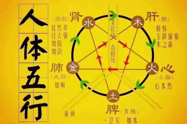 命局土太旺的深意与对策分析：如何平衡五行之道