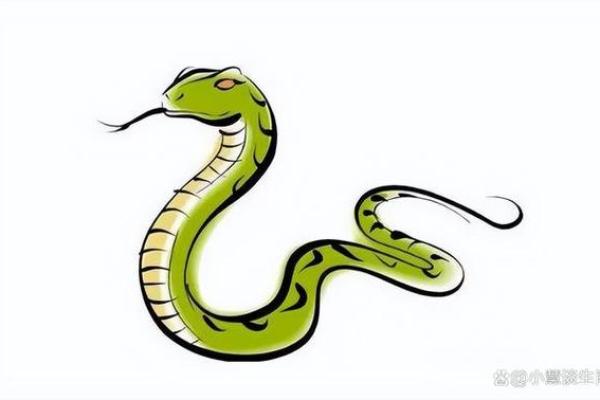 如何利用命运的光辉，掌握生肖的智慧，创造美好人生