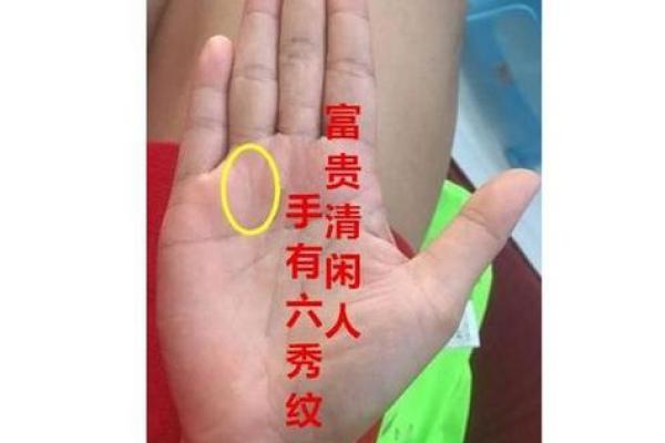 女命得旺夫发福：解析其背后的深意与影响