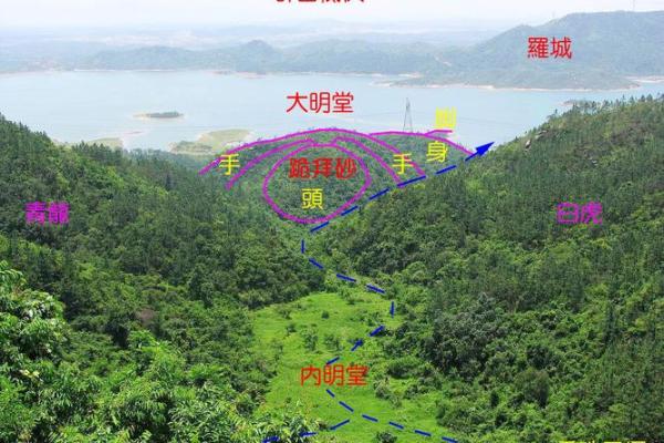 男水命居住楼层选择：开启风水之门的秘密秘籍