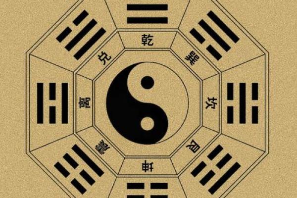 偏官坐正官命：让成功顺风顺水的神秘能量