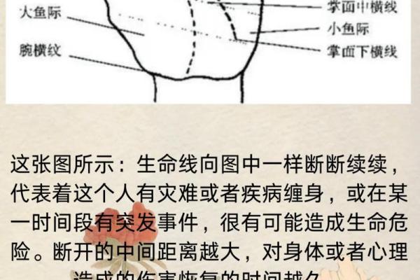 女性手相解析：揭示你命运与个性的奥秘