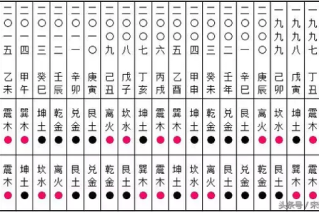 男为坤土命的深刻解读与人生启示