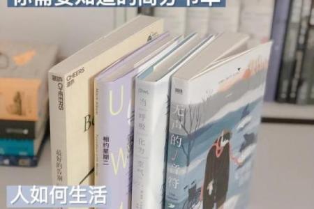 男子100条命:探寻生命与死亡的极限之旅
