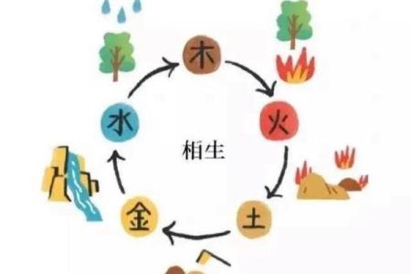 探究九七年九月二号出生者的命理奥秘