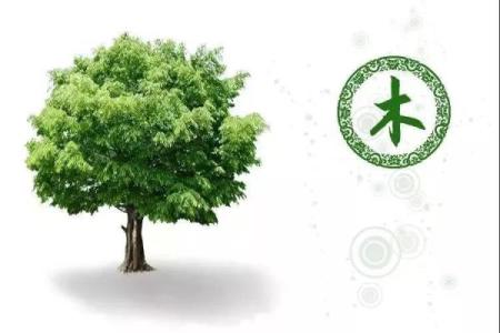 缺水的木命土多家庭如何提升运势与生活品质