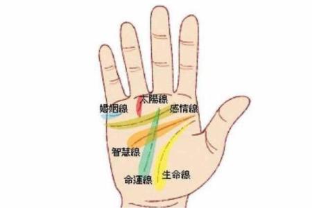 探秘金命手相：揭示你的命运与潜力之道