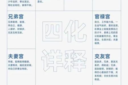 命理解析：紫薇命的秘密与人生启示