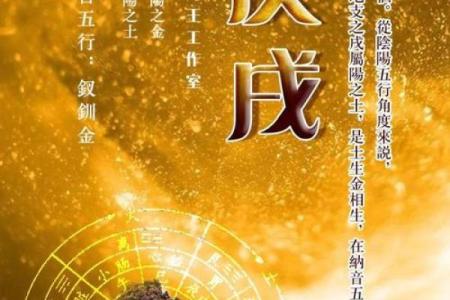 男士金命与其它命相配的最佳选择解析
