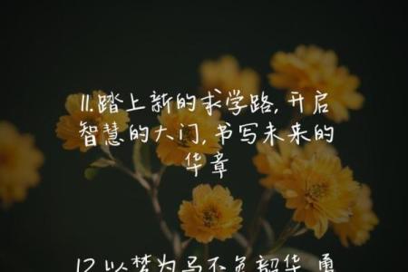 命里多贵人,助你腾飞的星辰之路
