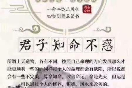 命局财旺生官：解读命理中的财富与权势关系