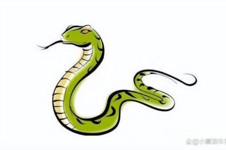如何利用命运的光辉,掌握生肖的智慧,创造美好人生