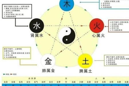 路旁土命缺水:如何选择适合的风水元素与生活方式