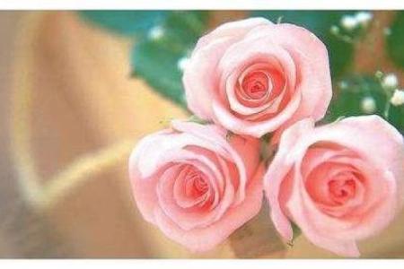 命里不缺桃花，爱情之路如何顺畅无阻？