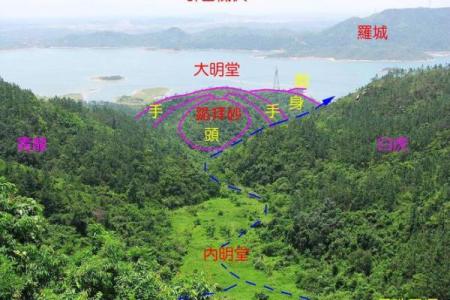 男水命居住楼层选择：开启风水之门的秘密秘籍