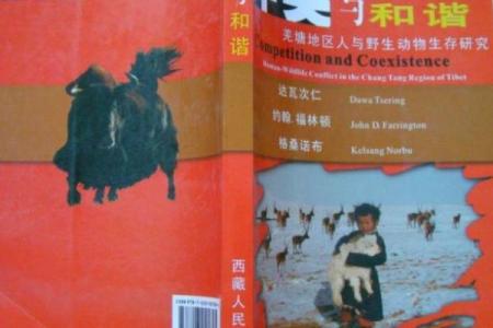 龙年土命与马年的命相解析:探寻命理中的和谐与冲突