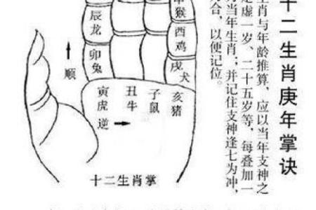 探索命盘相生相克的奥秘:解读命理的智慧与启示