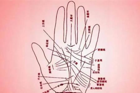 女性手相解析:揭示你命运与个性的奥秘