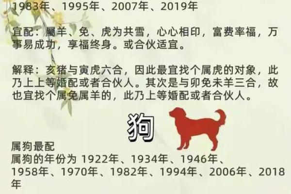 女命最佳婚配：如何选择适合的命格伴侣和谐相处