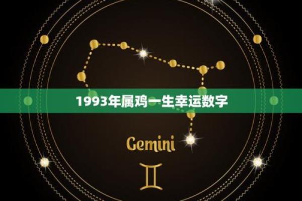 93年属鸡女性命运分析：智慧与坚韧的结合之路