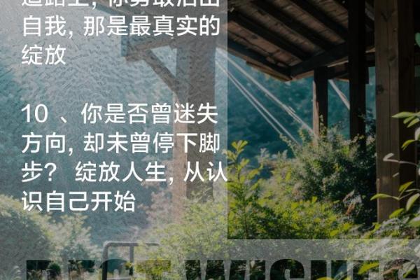 探寻命运的深意：什么是“命不怎么好”？